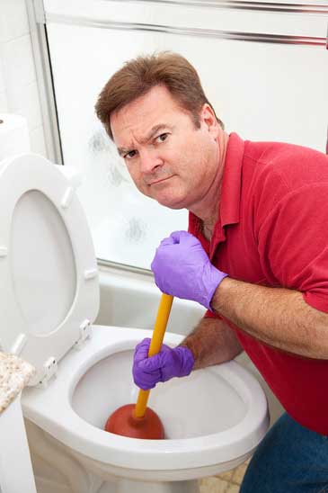 Tips for Purchasing the Right Toilet