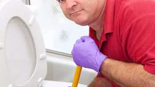Tips for Purchasing the Right Toilet