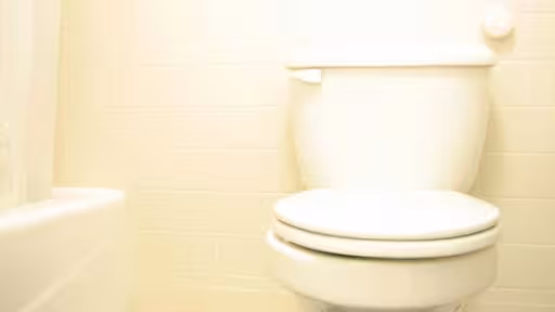 Reasons a Toilet Will Not Flush